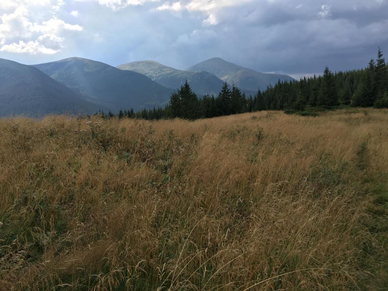 Барви Карпат Vorohta Kültér fotó